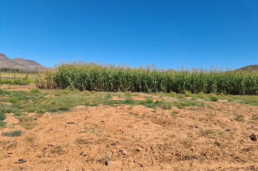0 Bedroom Property for Sale in Touws River Rural Western Cape